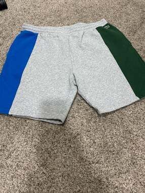Lacoste Men's Colorblock Branded Cotton Fleece Blend Shorts Grey/Green/Blue Size